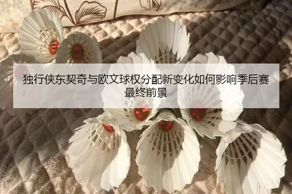 独行侠东契奇与欧文球权分配新变化如何影响季后赛最终前景